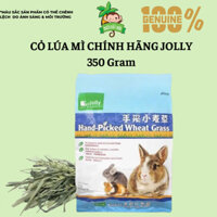 Thức ăn thỏ bọ - Cỏ lúa mì chính hãng Jolly giàu dinh dưỡng, chất xơ, hệ tiêu hoá cho thỏ, bọ, sóc bắc mỹ 350gram