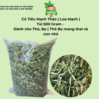 Thức ăn thỏ bọ - Cỏ Tiểu Mạch Thảo ( Lúa Mạch ) dành cho thỏ, bọ, phù hợp cho thỏ bọ đang mang thai và con nhỏ.