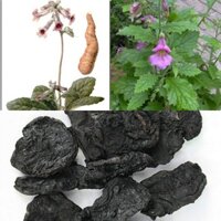 Thục địa cao cấp - Gói 500gr