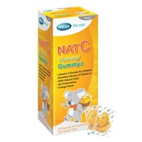 Thực phẩm bảo vệ sức khỏe Nat C Yummy Gummyz (25 túi)