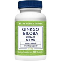 Thực phẩm bảo vệ sức khỏe The Vitamin Shoppe GINKGO BILOBA EXTRACT VS-1688