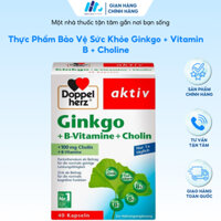Thực Phẩm Bảo Vệ Sức Khỏe Ginkgo + Vitamin B + Choline