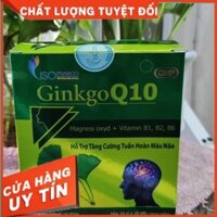 Thực phẩm chức năng bổ não GINKGO Q10