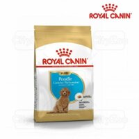 Thực phẩm dinh dưỡng dành riêng cho giống chó Poodle con dưới 10 tháng tuổi Royal Canin Poodle Puppy