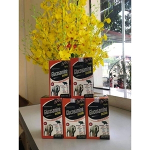 Thực phẩm hỗ trợ điều trị xương khớp Glucosamine Sit 1600mg