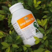 Thức Phẩm Hỗ Trợ Sức Khỏe Vita Organic GINKO BILOBA 2500, Tăng Khả Năng Ghi Nhớ, Tập Trung, Giảm Stress