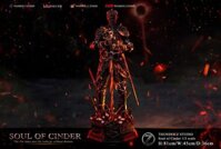 Thunder Z Studio - Soul of Cinder - Dark Souls