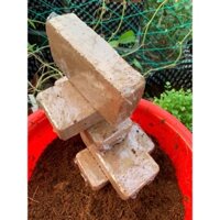 Thùng 10 viên nén xơ dừa 500gr hình viên gạch dùng trồng rau mầm, trộn đất trồng cây, trộn giá thể