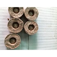 Thùng 1000 viên nén xơ dừa trồng cây con