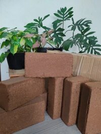 Thùng 16 Bánh Gạch Mụn Dừa Nén Đã Xử Lý 650g – Giá Thể Trồng cây