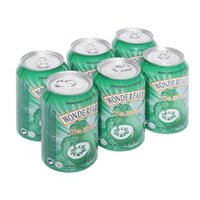 Thùng 24 lon trà bí đao Wonderfarm 310ml