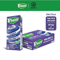 Thùng 48 Hộp 170ml Sữa Chua Lên Men Tự Nhiên Yomost Bạc Hà – Việt Quất/ Yomost Hương Lựu – AZAGO