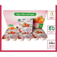 Thùng 48 hộp sữa CHua Elovi