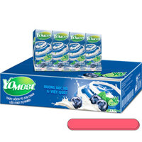 Thùng 48 Hộp Sữa Chua Lên Men Tự Nhiên Yomost Bạc Hà - Việt Quất (170ml/Hộp)