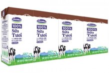 Thùng 48 hộp sữa tươi socola Vinamilk 100% Sữa Tươi 110ml