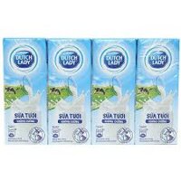 Thùng 48 hộp sữa tươi tiệt trùng không đường Dutch Lady 180ml
