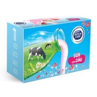 Thùng 48 Hộp Sữa Tươi Tiệt Trùng Dutch Lady Dâu (180ml / Hộp)