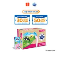 Thùng 48 Hộp Sữa Tươi Tiệt Trùng Dutch Lady Cô Gái Hà Lan Hương Dâu (48 x 180ml)