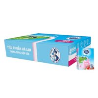Thùng 48 Hộp Sữa Tươi Tiệt Trùng Dutch Lady DAU (110ml / Hộp)