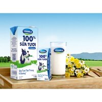 Thùng 48 hộp sữa tươi Vinamilk ít đường 180 ml (từ 1 tuổi)