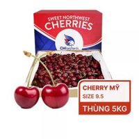 Thùng 5kg cherry Mỹ