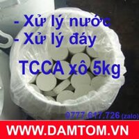 thùng 5kg Clo Viên TCCA 2g