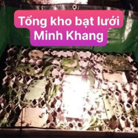 Thùng bạt nuôi dế mèn, bể bạt nuôi dế mèn