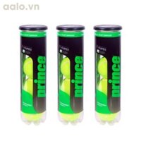 Thùng bóng tennis prince hộp 3 trái thùng 24 lon