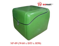 Thùng Chở Hàng Sau Xe Máy SP-09