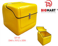 Thùng Chở Hàng Sau Xe Máy SP-03