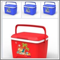 Thùng đá 12L Matsu Duy Tân 37.1 x 25.8 x 26.4 cm