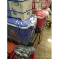 THÙNG ĐÁ 60L CÓ VAN THOÁT NƯỚC DUY TÂN