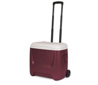 Thùng đá có bánh xe kéo IGLOO Island Breeze Roller 26L - Nâu-4032