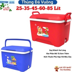 Thùng đá Duy Tân 35L