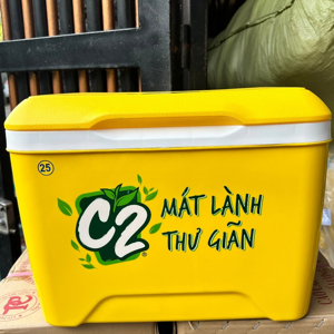 Thùng đá Duy Tân 45L