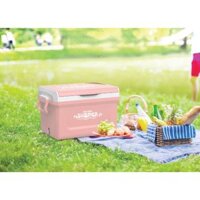 Thùng Đá ICY 35L nhựa Duy Tân