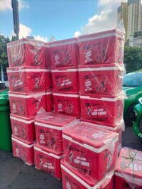 Thùng đá khuyến mãi sting 50 lít