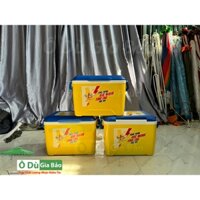 Thùng Đá Vuông Giữ Nhiệt 45L Nhựa Duy Tân