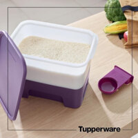 Thùng Gạo 5kg Tupperware Chính Hãng