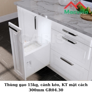 Thùng gạo Garis GR04.30