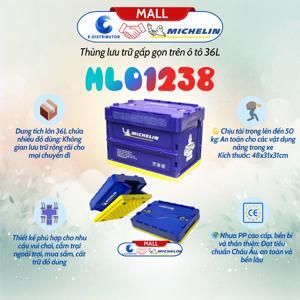 Thùng lưu trữ gấp gọn trên ô tô 36L Michelin ML01238