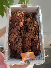 Thùng Nho khô nguyên cành Long Thompson VIP 4kg