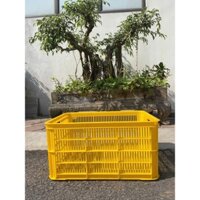Thùng nhựa sóng hở, khay nhựa sóng hở kích thước 61*42*30cm