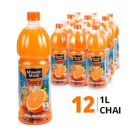 Thùng nước cam có tép Teppy Minute Maid 1 lít (12 Chai