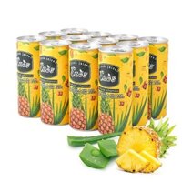 THUNG NUOC EP TRAI CAY DUA - NHA DAM ( 30LON - 240ML)