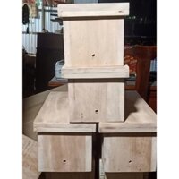 Thùng nuôi ong dú gỗ mù u