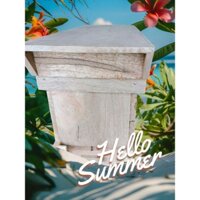 Thùng nuôi ong nội mini