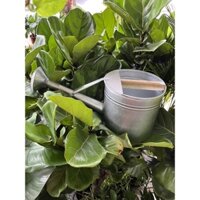 Thùng tưới bằng thiếc 13 lít, loại dày, có vòi sen mịn, bình tưới thiếc