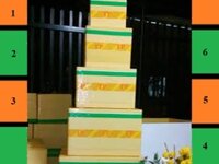 Thùng xốp thùng mốp xốp đựng hải sản hoa quả rau củ trái cây trồng cây nhiều kích cỡ lựa chọn