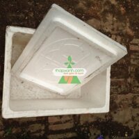 Thùng xốp trồng rau